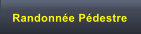 Randonn�e P�destre