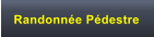 Randonn�e P�destre